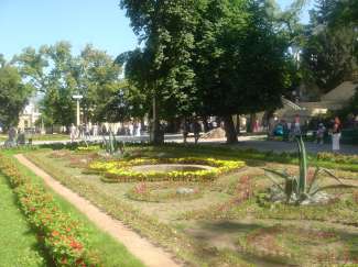DSC08958.JPG